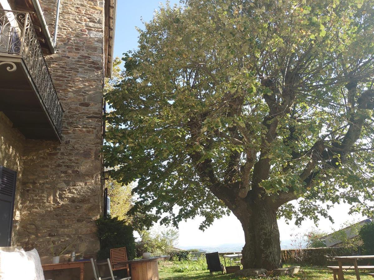 Chateau De Riverie Chambres Et Table D'Hotes Exterior photo