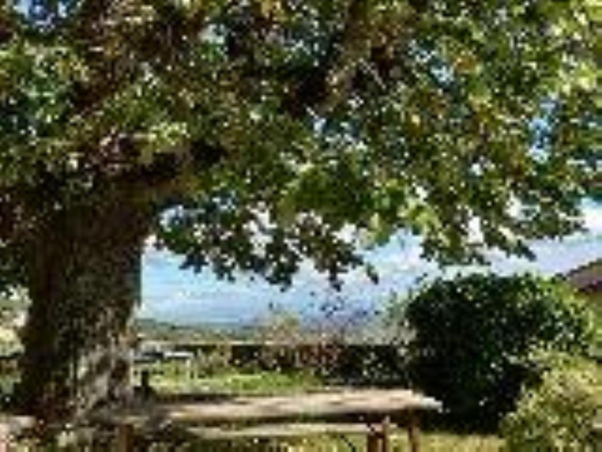 Chateau De Riverie Chambres Et Table D'Hotes Exterior photo